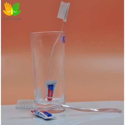 hotel/travel supply disposable toothbrush with mini toothpaste