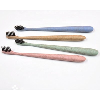 Premium Low cost eco-friendly biodegradable toothbrush