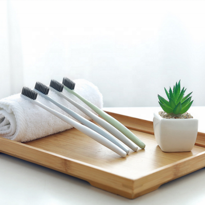 Simple and innovative hot selling men and women with the same ecological toothbrush